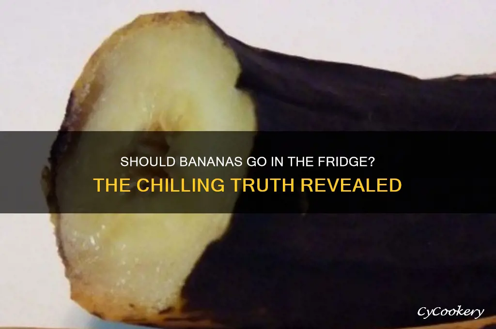 are you supposed to put bananas in the refrigerator