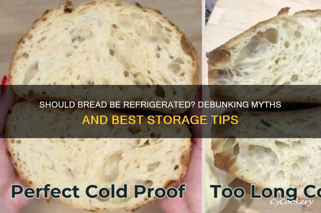 are you supposed to put bread in the refrigerator