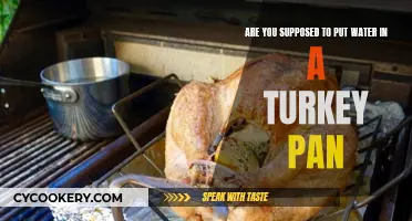 How to Cook a Turkey: Water or No Water?