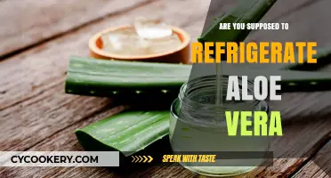 Should Aloe Vera Be Refrigerated? Storage Tips for Fresh Gel