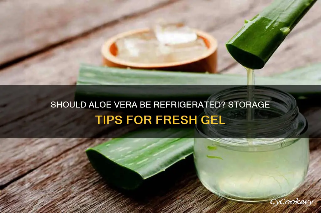 are you supposed to refrigerate aloe vera