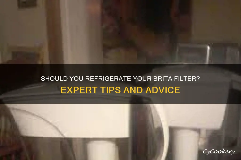 are you supposed to refrigerate brita filter