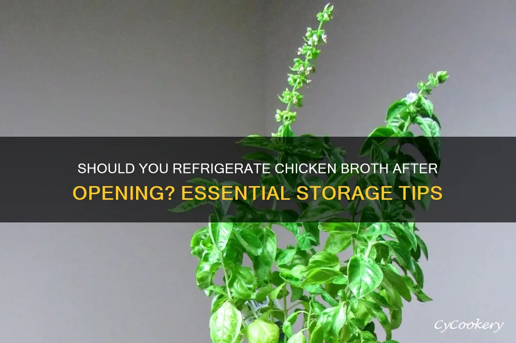 are you supposed to refrigerate chicken broth after opening