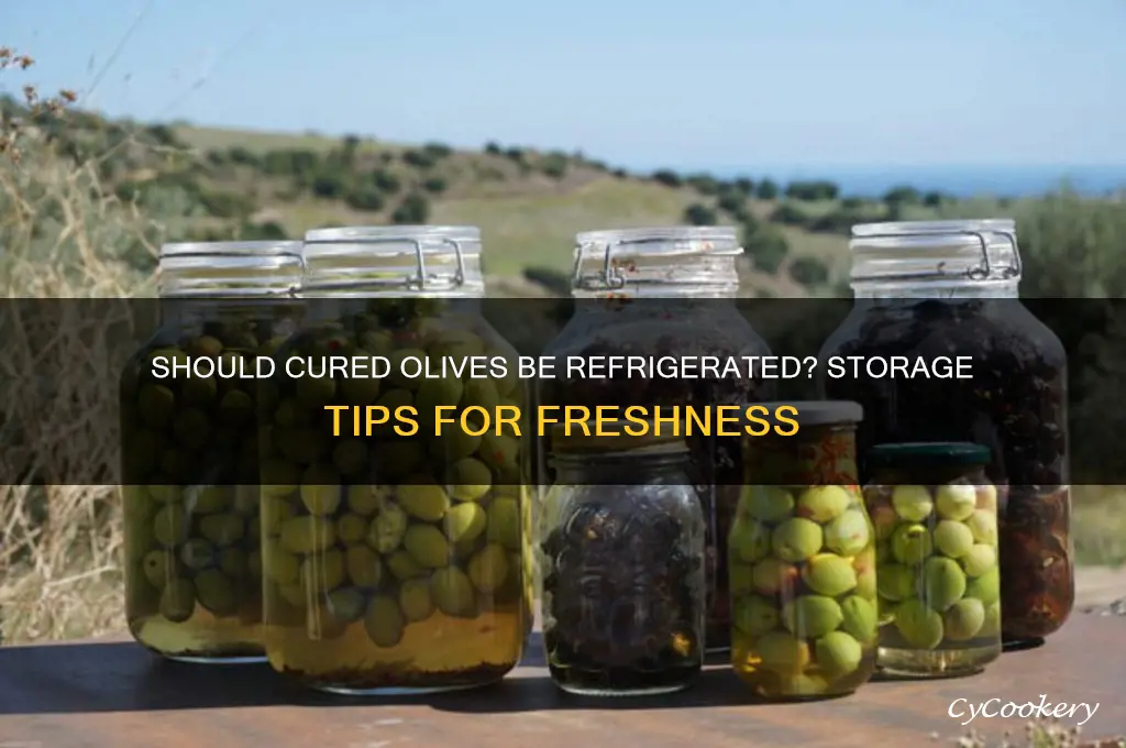 are you supposed to refrigerate cured olives