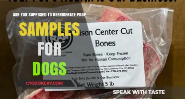 Should Dog Poop Samples Be Refrigerated? Expert Tips for Pet Owners