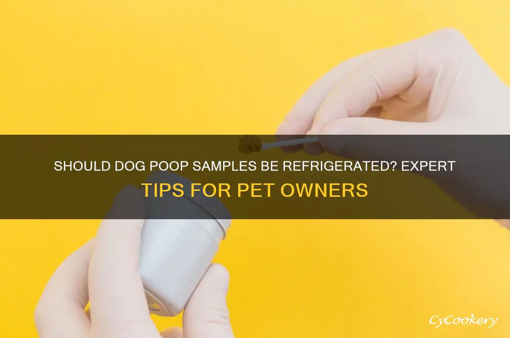 are you supposed to refrigerate poop samples for dogs