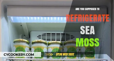 Should Sea Moss Be Refrigerated? Storage Tips for Freshness