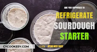 Should You Refrigerate Sourdough Starter? Best Practices for Care