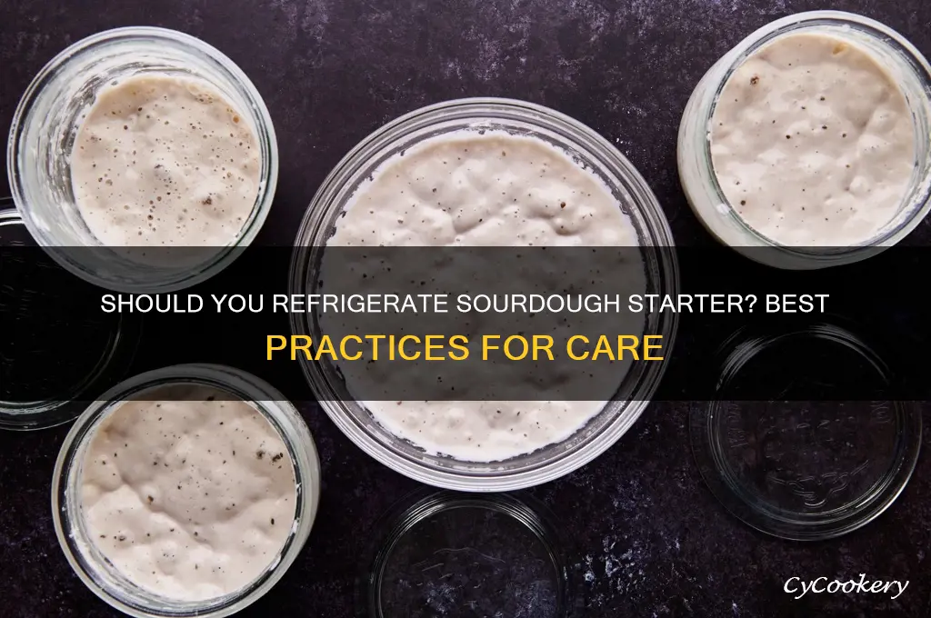are you supposed to refrigerate sourdough starter