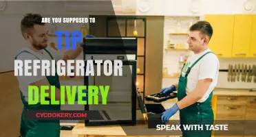Should You Tip for Refrigerator Delivery? Etiquette Explained