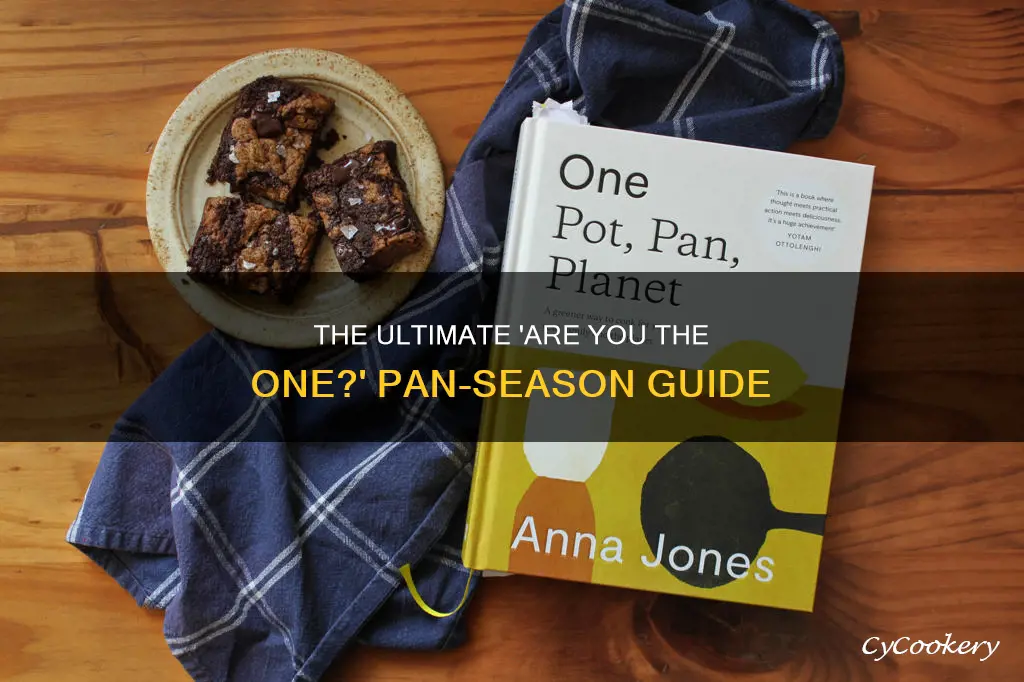 are you the one pan season