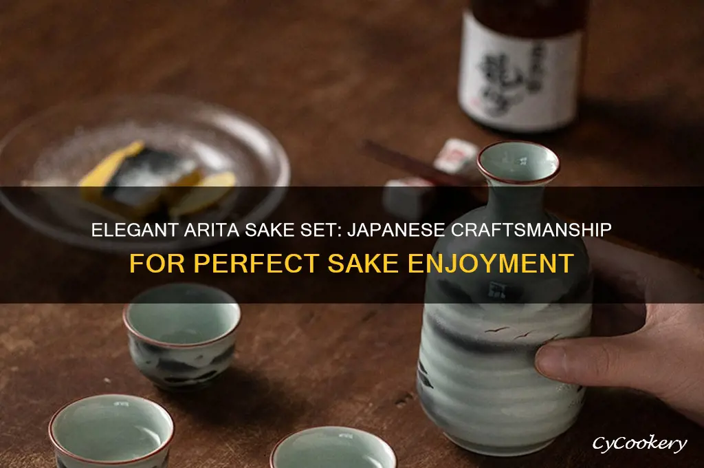 arita sake set