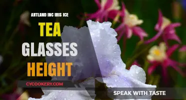Artland Inc Iris Ice Tea Glasses: Perfect Height for Refreshing Sips