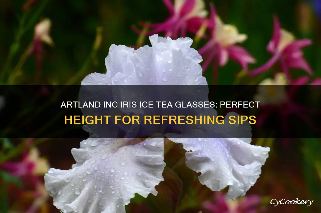 artland inc iris ice tea glasses height