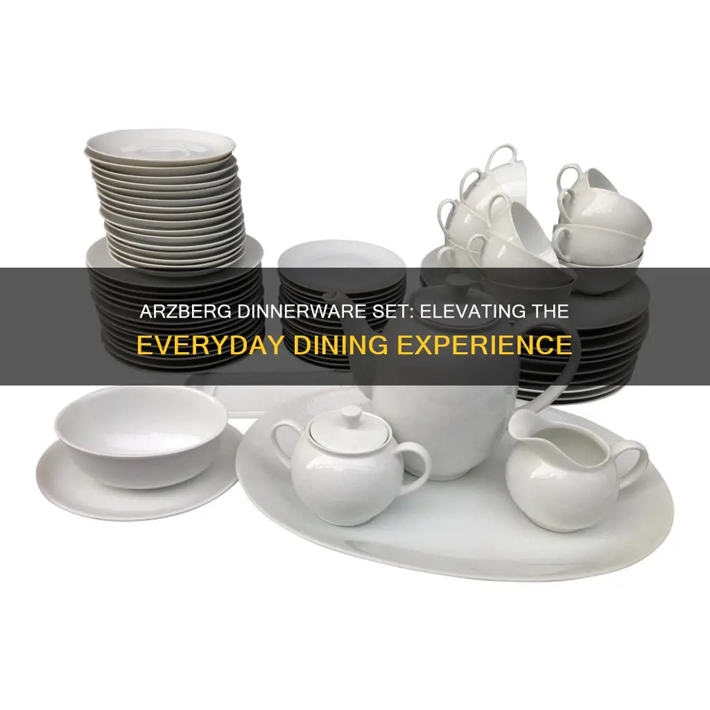 arzberg dinnerware set