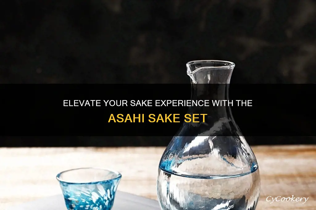 asahi sake set