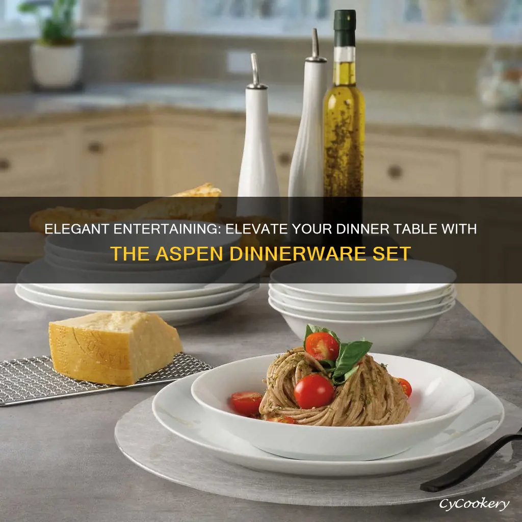 aspen 16 piece dinnerware set