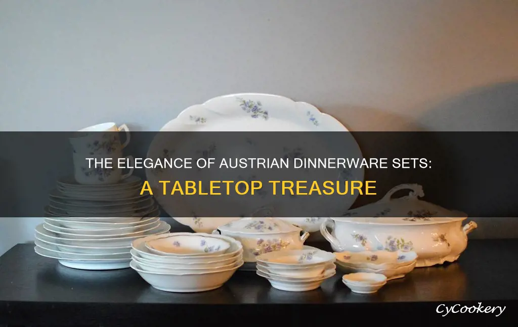 austrian dinnerware sets