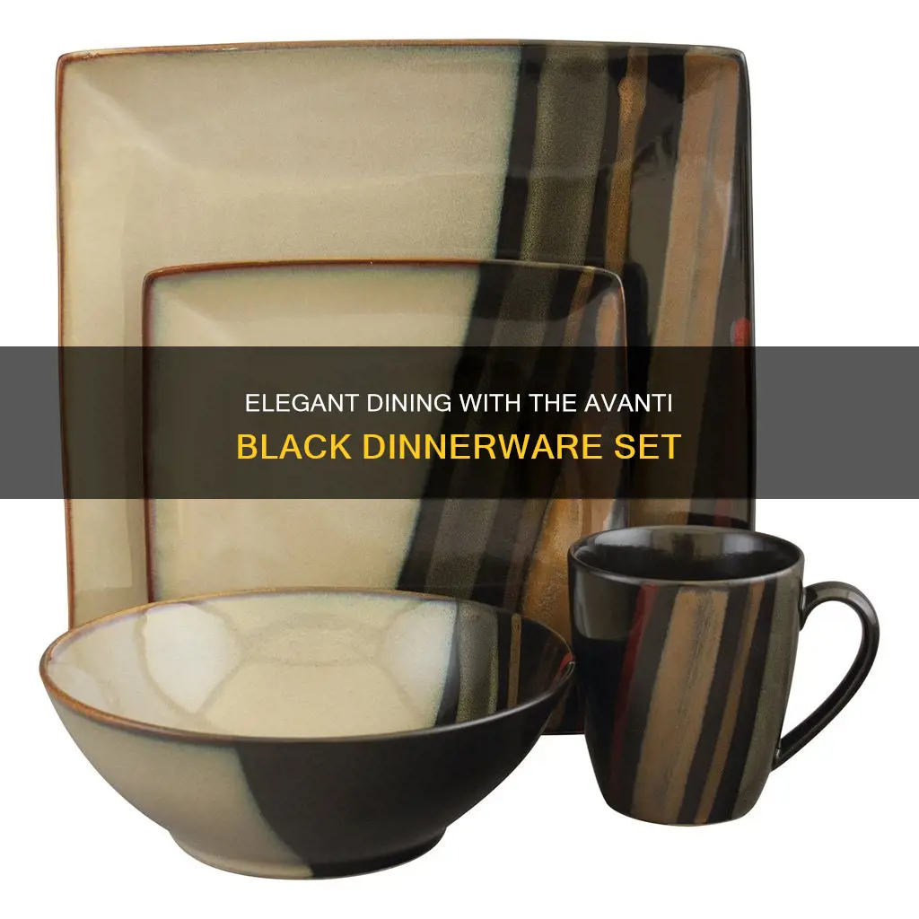 avanti black 16 pc dinnerware set