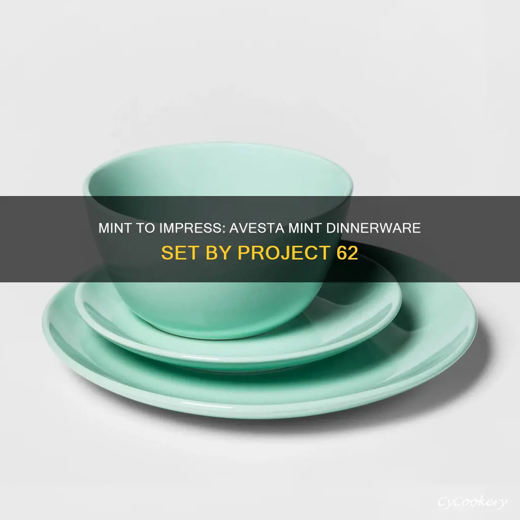 avesta mint dinnerware set project 62