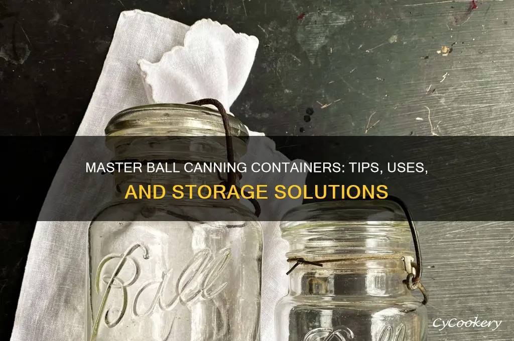 ball canning containers