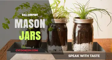 Creative Uses for Ball Company Mason Jars in Everyday Life