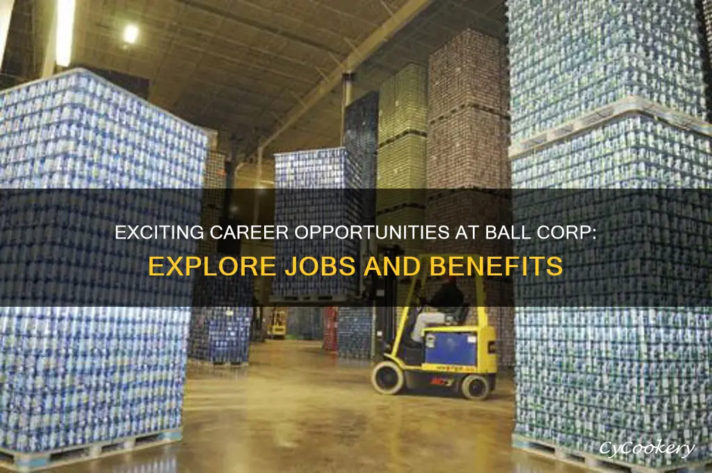 ball corp jobs