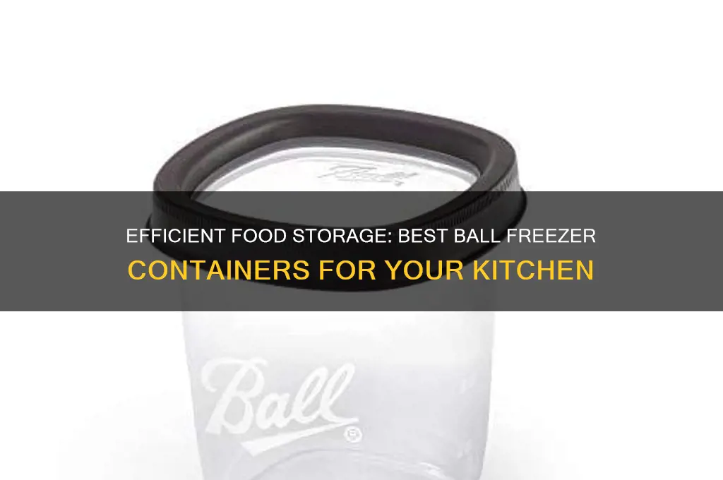 ball freezer containers
