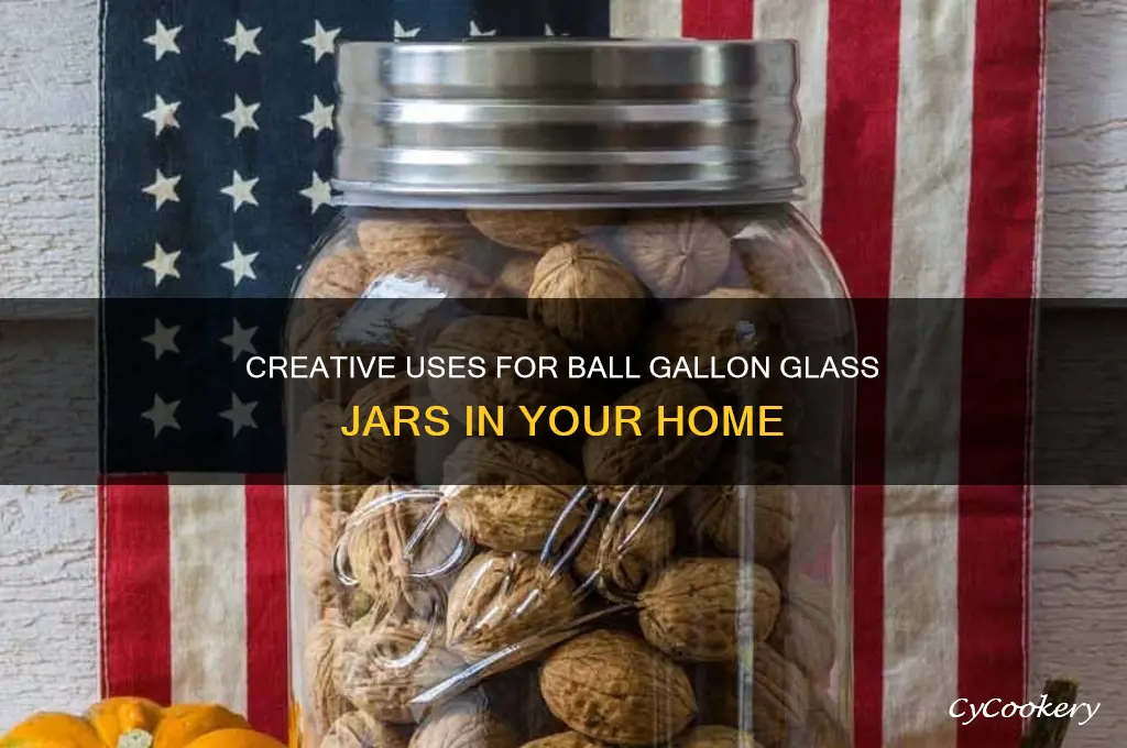 ball gallon glass jars
