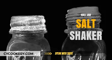 Creative Ball Jar Salt Shaker DIY Ideas for Your Kitchen