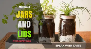 Creative Uses for Ball Mason Jars and Lids in Everyday Life