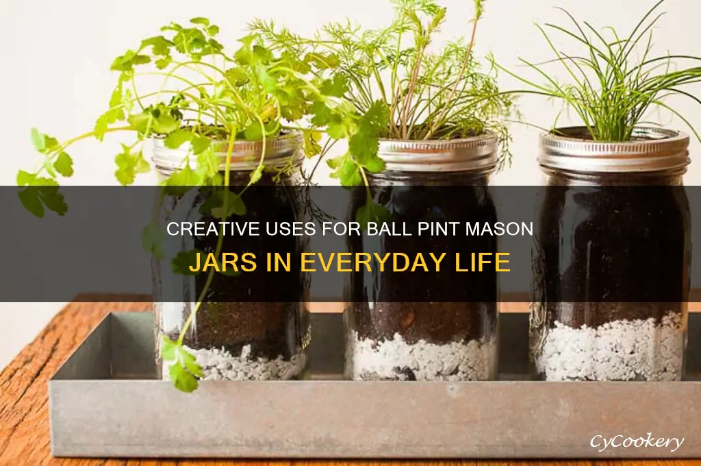 ball pint mason jar