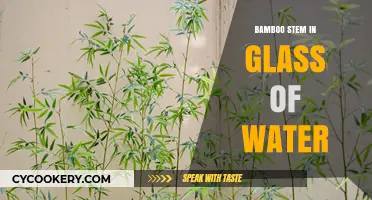 Elegant Bamboo Stem Display: Simple Water Glass Arrangement Tips