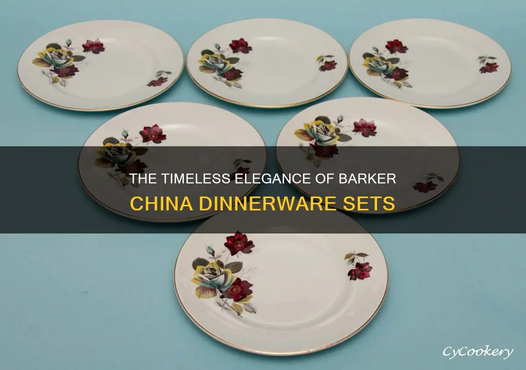 barker china dinnerware set