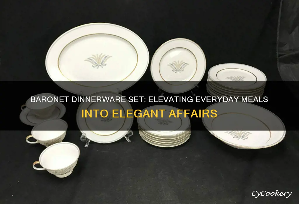 baronet dinnerware set