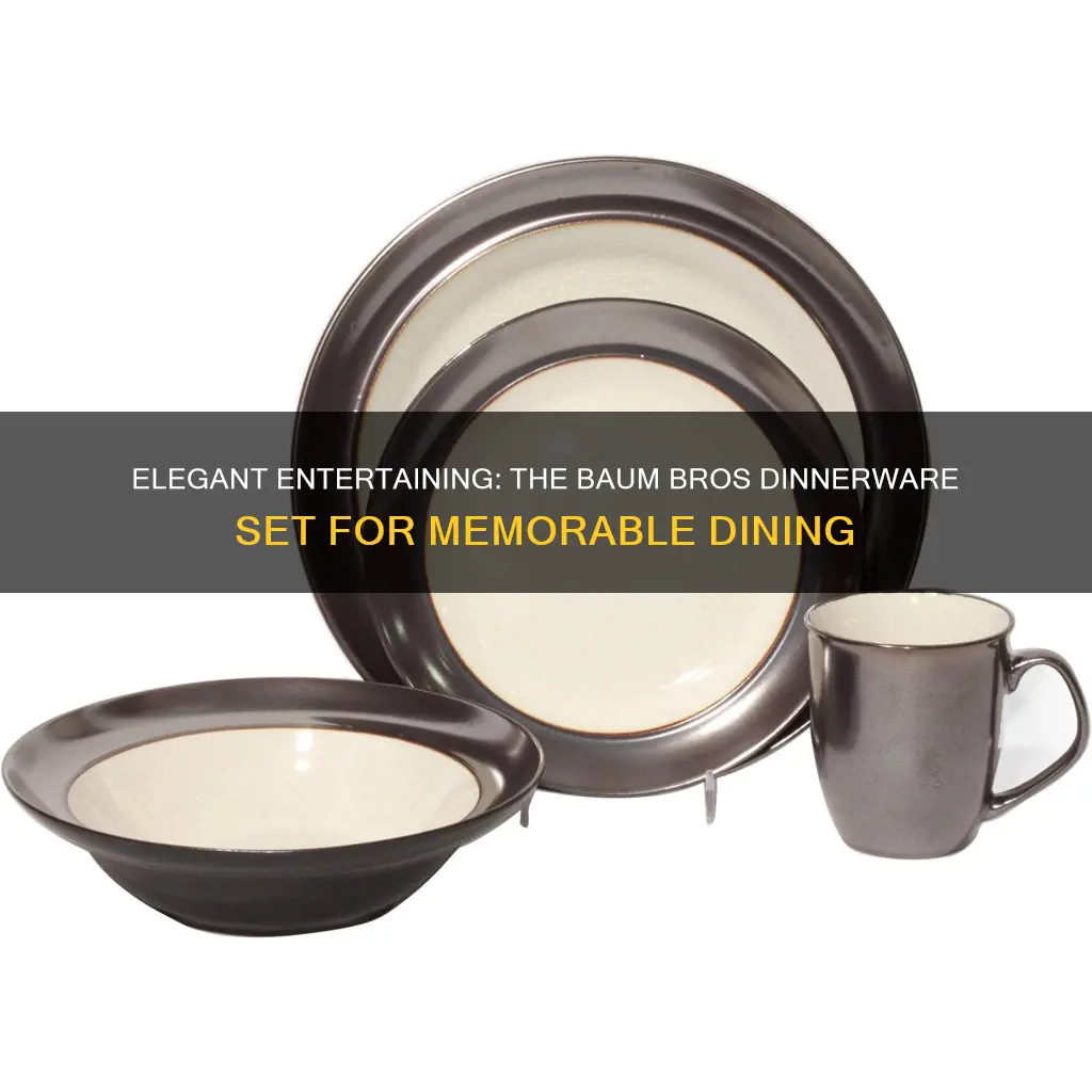 baum bros dinnerware set