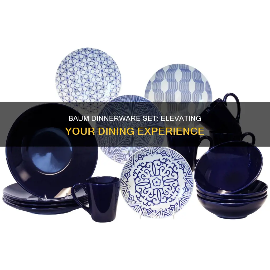 baum dinnerware set