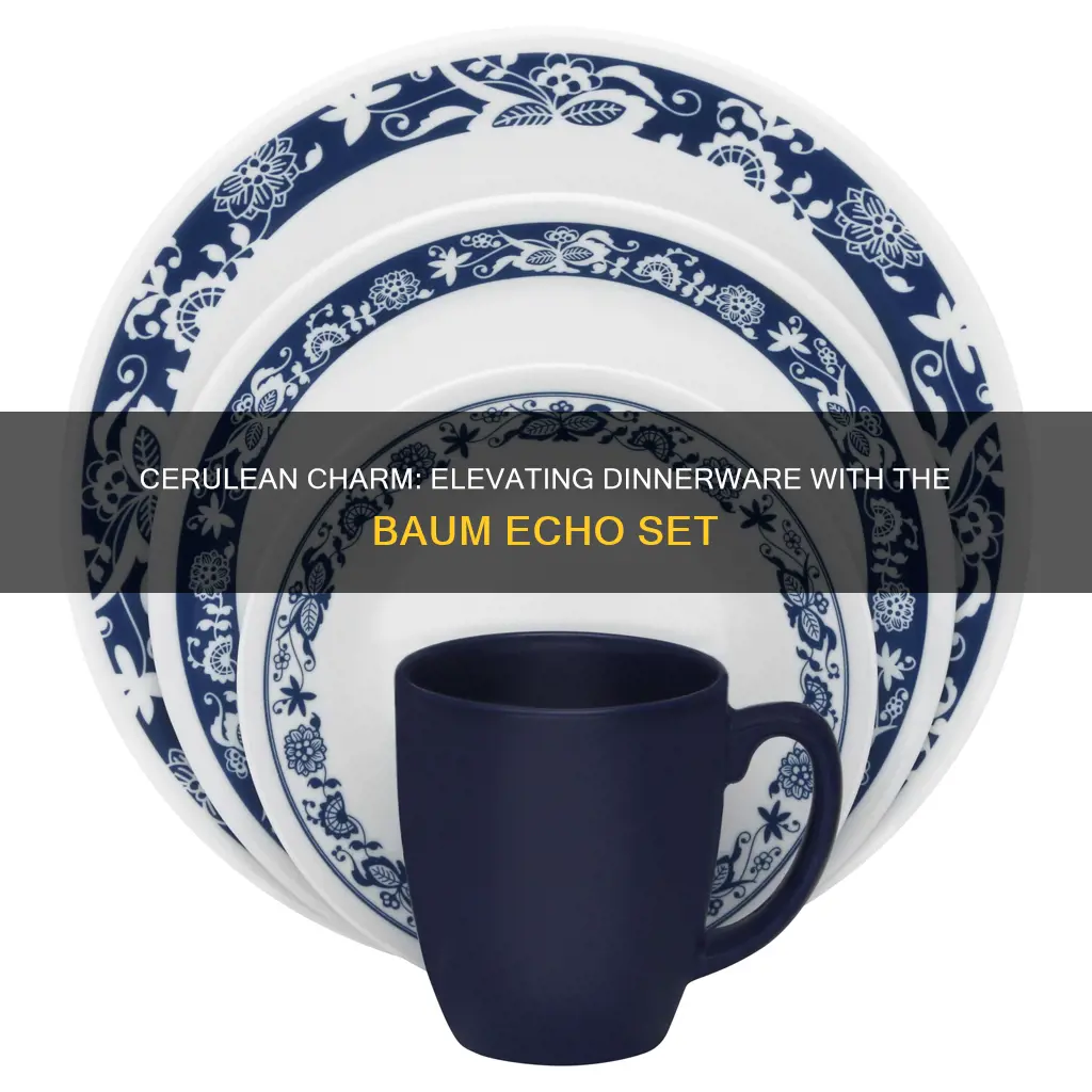 baum echo 16 piece dinnerware set in blue