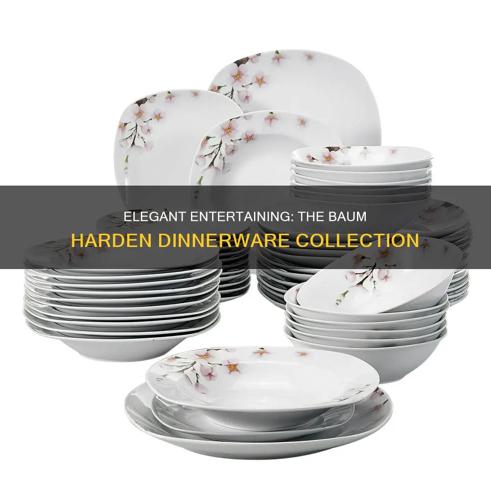 baum harden 16 piece dinnerware set