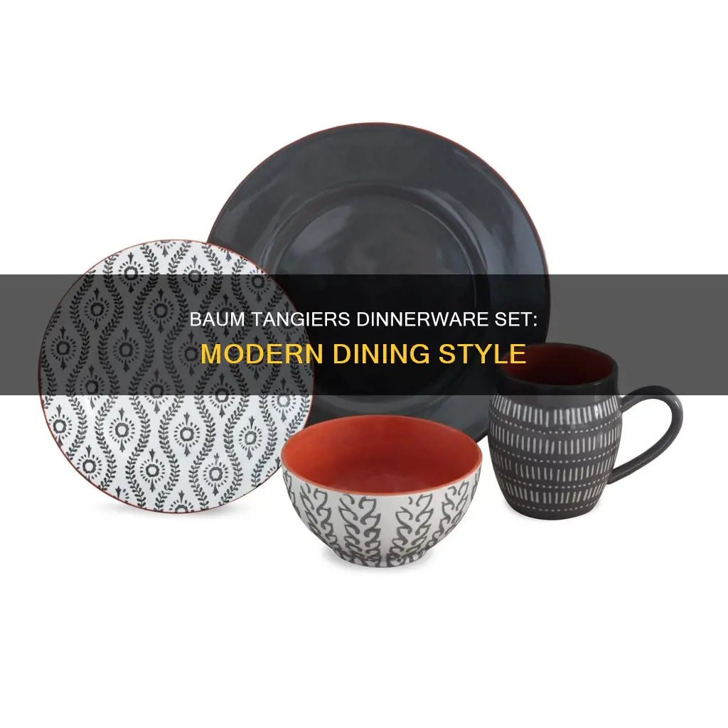 baum tangiers 16 piece dinnerware set