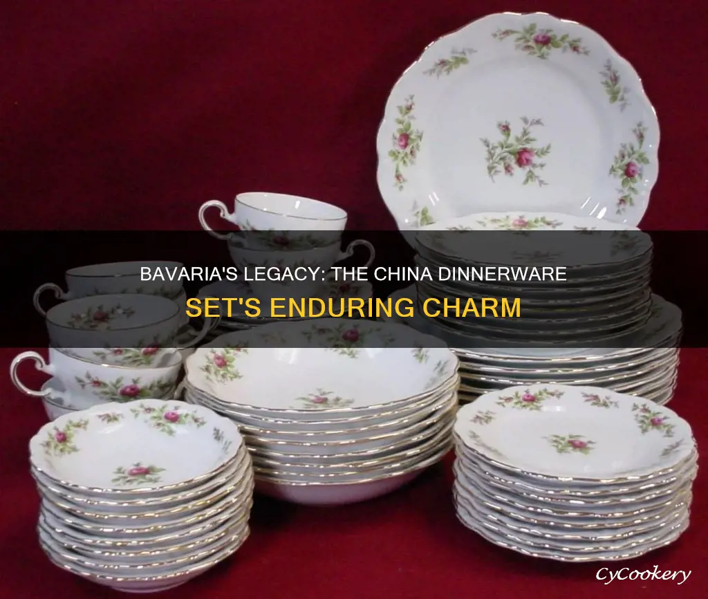 bavaria china dinnerware set