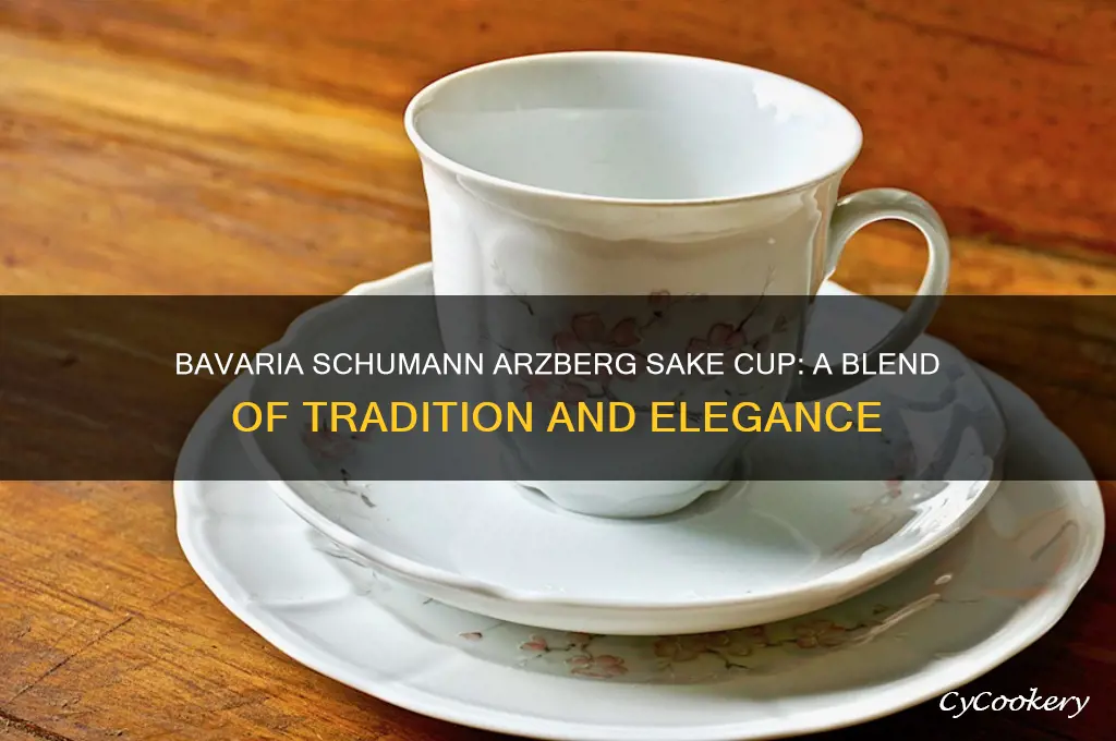 bavaria schumann arzberg sake cup