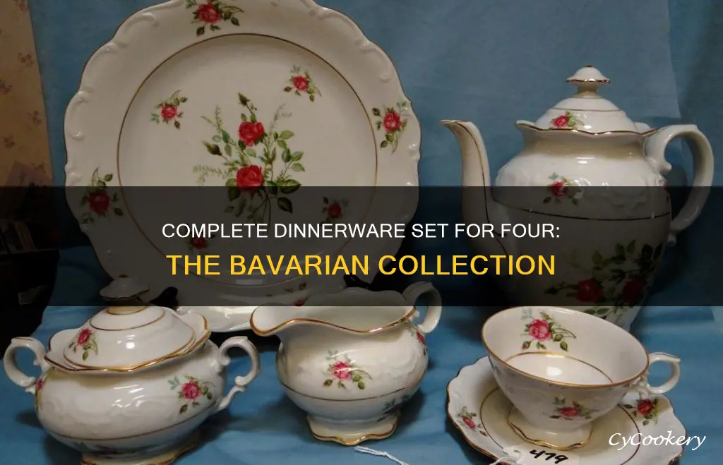 bavarian 5 piece dinnerware set service for 4