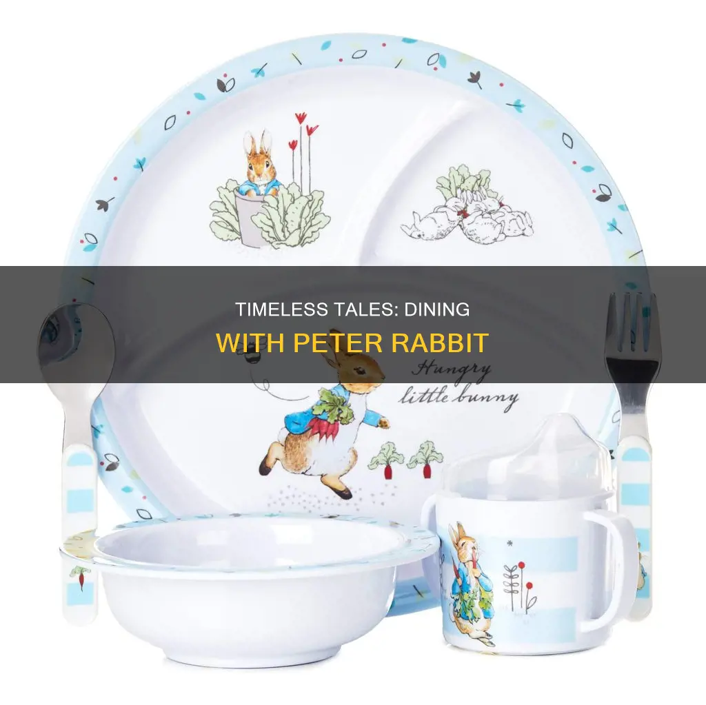 beatrix potter peter rabbit 5 piece melamine dinnerware set