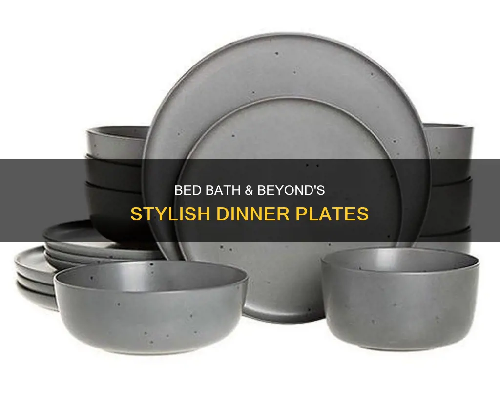 bed bath and beyond dinner plates