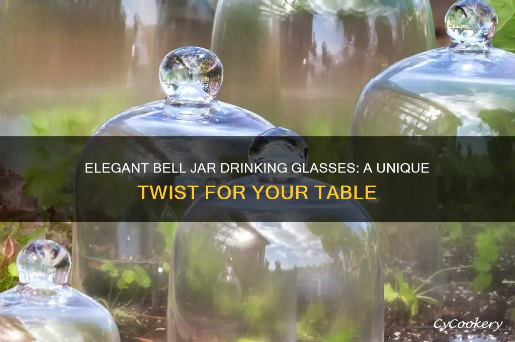 bell jar drinking glasses