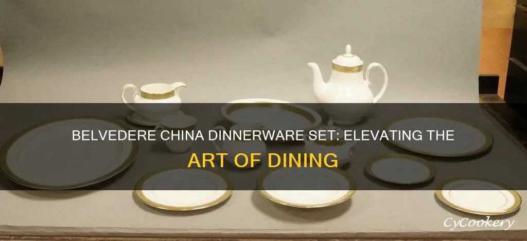 belvedere china dinnerware set