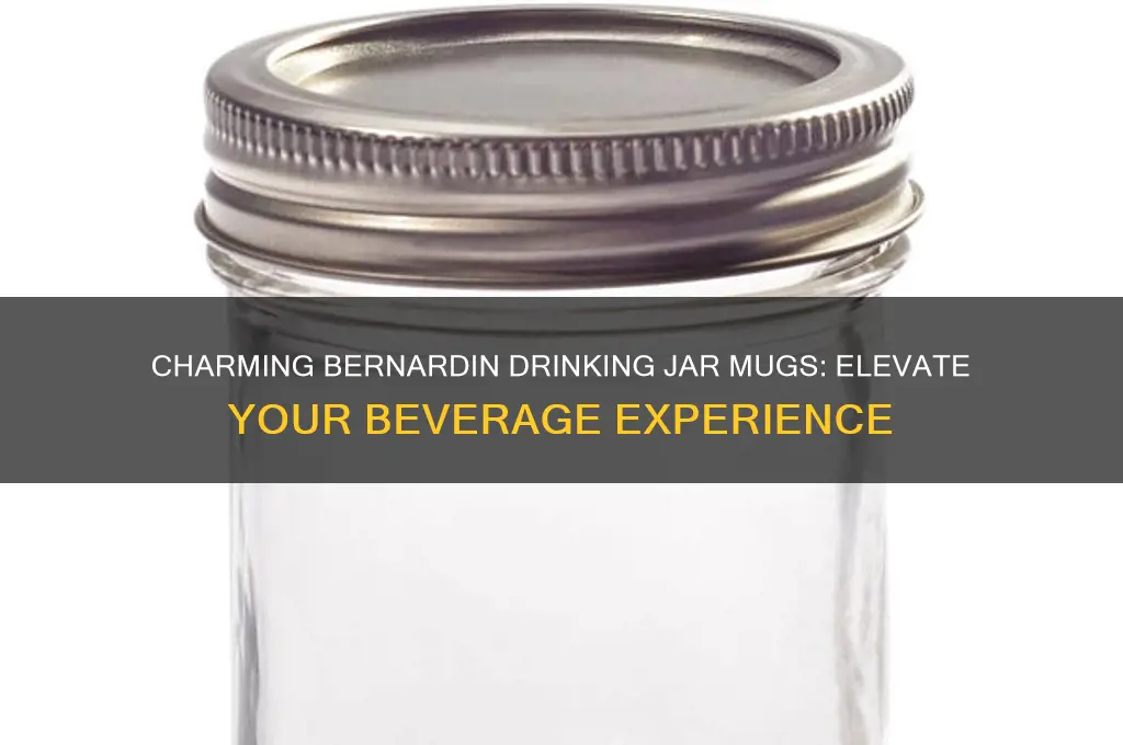 bernardin drinking jar mugs