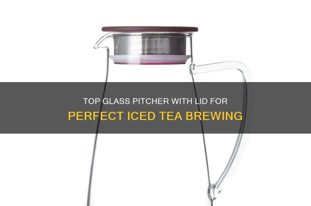 best 64 oz glass pitcher with lid for iced tea