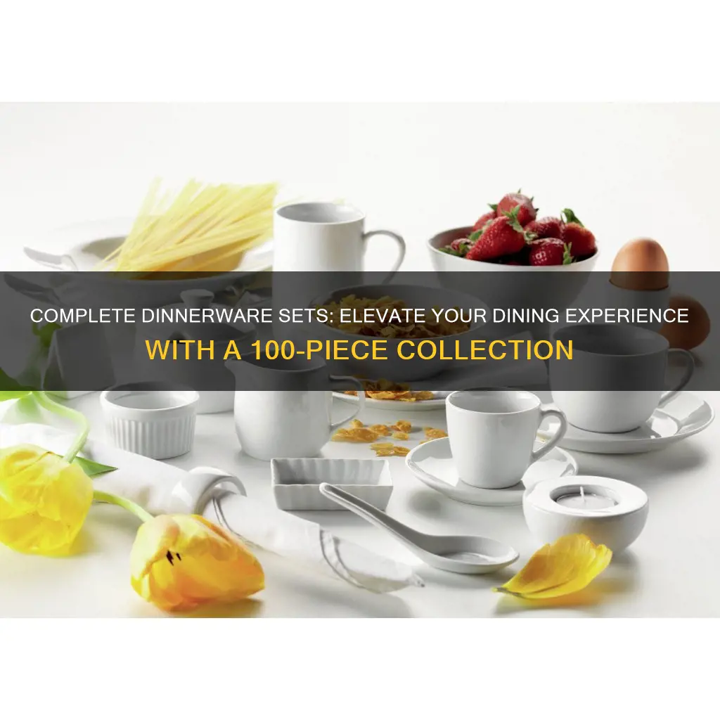 best dinnerware set for 100 piece